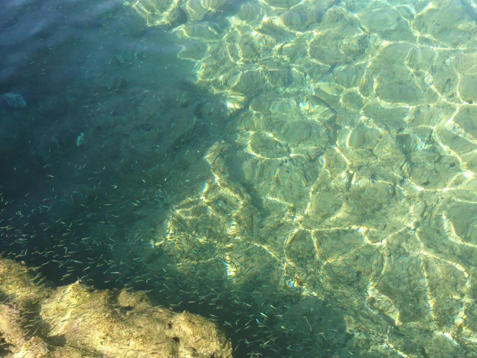 Sunny Family In Chania Close To The Sea Appartement *